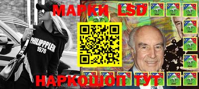 гидропоника Владимир