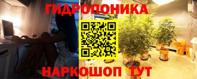 экстази Владикавказ