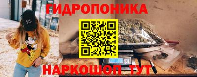 гидропоника Владимир