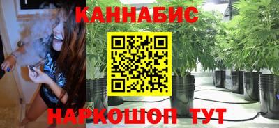гидропоника Владимир