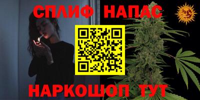 гидропоника Владимир