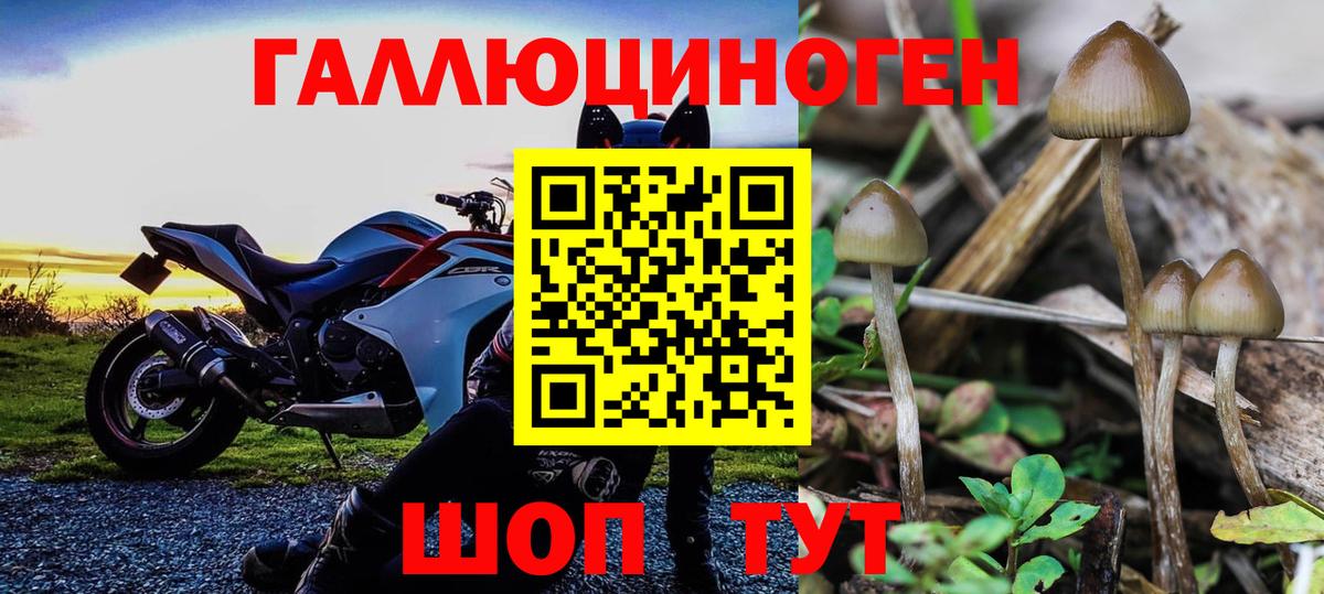Галлюциногенные грибы ЛСД  Вход с VPN  Симферополь  Галлюциногенные грибы Psilocybine cubensis 
